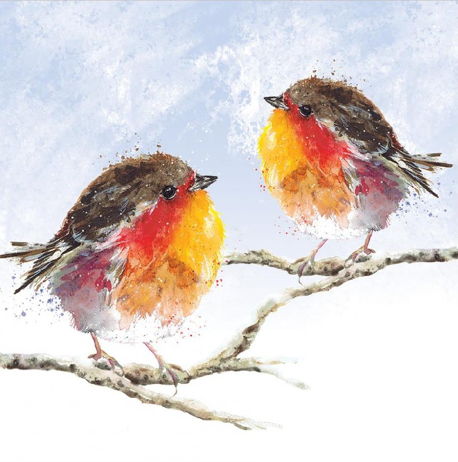 Fluffy Robin Christmas Card | Yorkshire Air Ambulance Charity