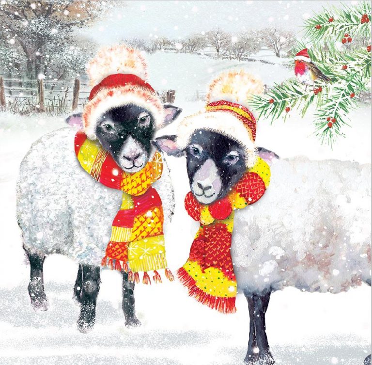 Sheep with scarfs Christmas Card Yorkshire Air Ambulance Charity