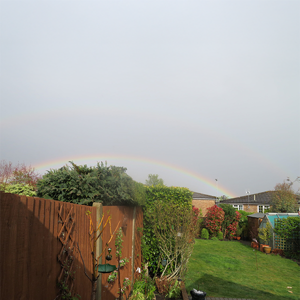 A rainbow in the sky above a garden